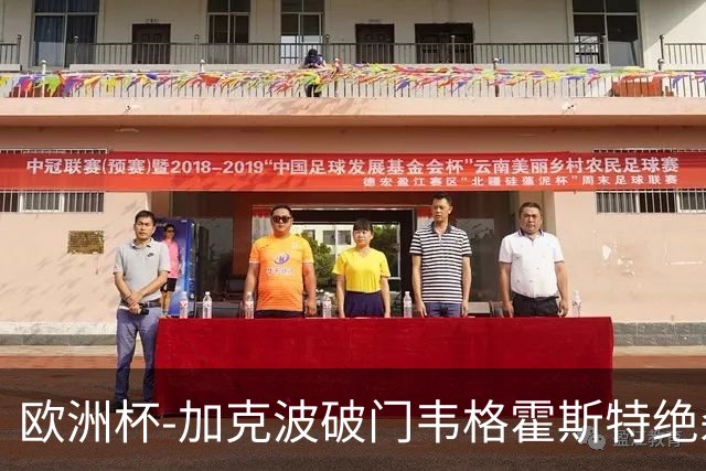 欧洲杯-加克波破门韦格霍斯特绝杀 荷兰2-1波兰